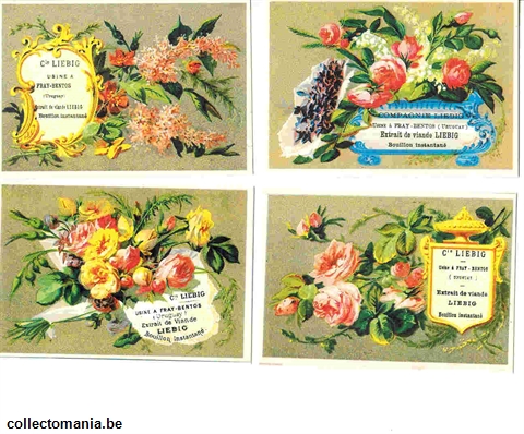 Chromo Trade Card 0046 (Branches de fleurs)