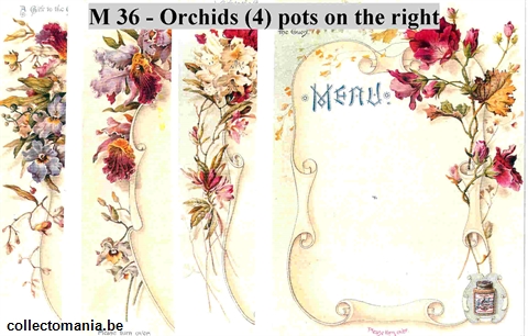 Chromo Trade Card M36 Orchids
