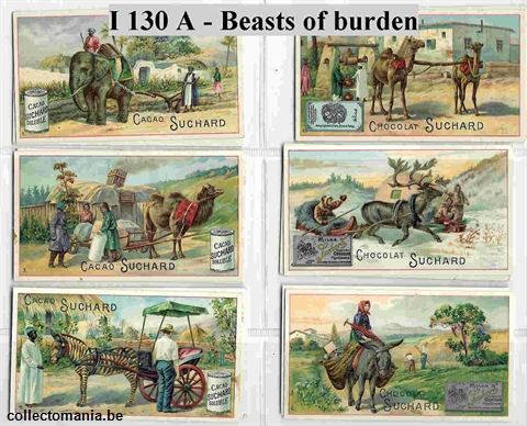Chromo Trade Card SucI130 Beasts of Burden (12)