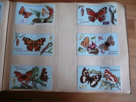 Chromo Trade Card SucI239 European Butterflies (12)