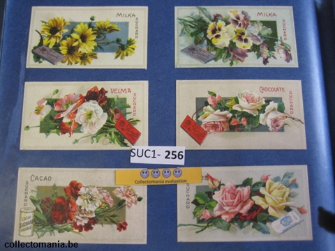 Chromo Trade Card SucI256 Flowers (12)