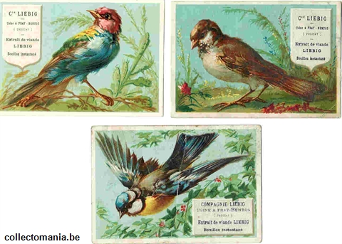Chromo Trade Card 0064 (Oiseaux)