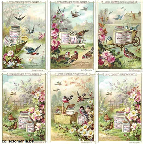 Chromo Trade Card 0366 (Oiseaux et fleurs)
