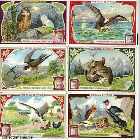 Chromo Trade Card 0872 Oiseaux de proie