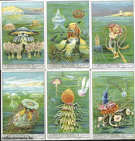 Chromo Trade Card 1321 Beauté des méduses (la)