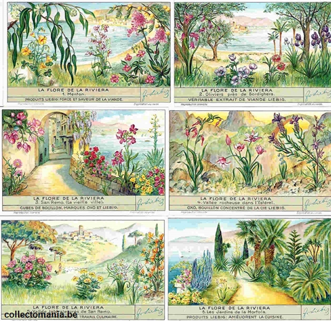 Chromo Trade Card 1354 Flore de la rivièra (la)