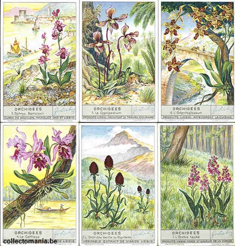 Chromo Trade Card 1362 Orchidées