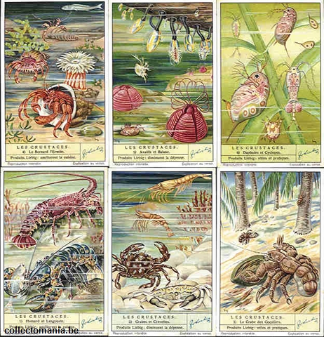 Chromo Trade Card 1373 Crustacés (les)