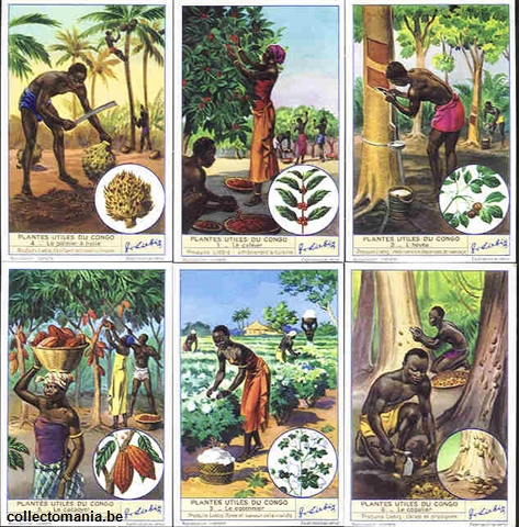 Chromo Trade Card 1434 Plantes utiles du Congo