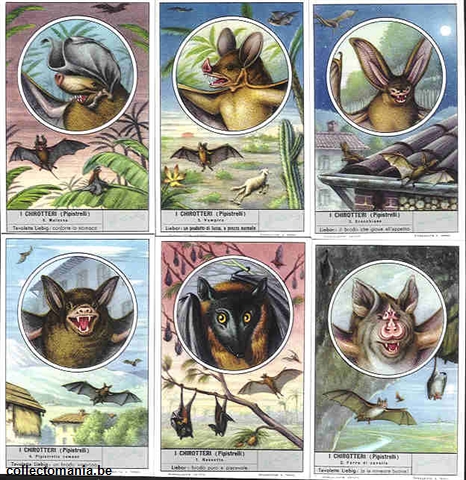 Chromo Trade Card 1616 I chirotteri (pipistrelli)