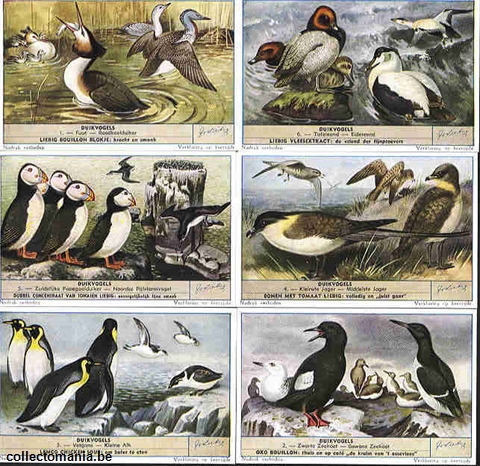 Chromo Trade Card 1634 Oiseaux plongeurs