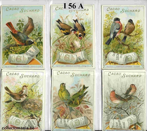 Chromo Trade Card SucI056 Songbirds (12)