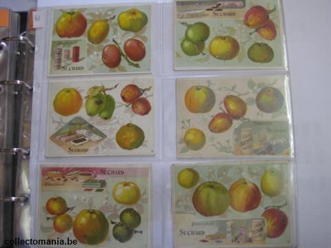Chromo Trade Card SucI081 Appel & Pear species (12)