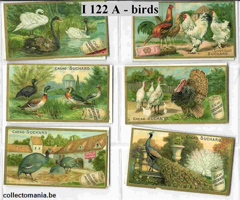 Chromo Trade Card SucI122 Birds (12)