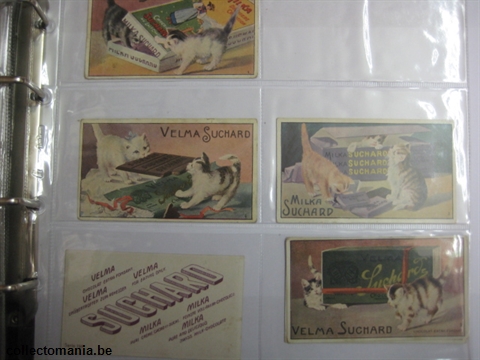 Chromo Trade Card SucI159 Cats with Suchard packings (12)