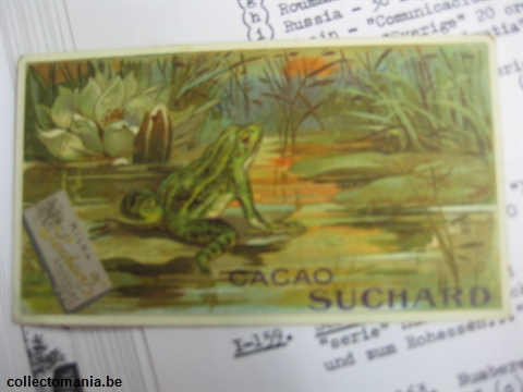Chromo Trade Card SucI163 Nature studies (12)
