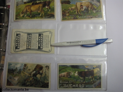 Chromo Trade Card SucI180 Cows and cheesmaking (12)