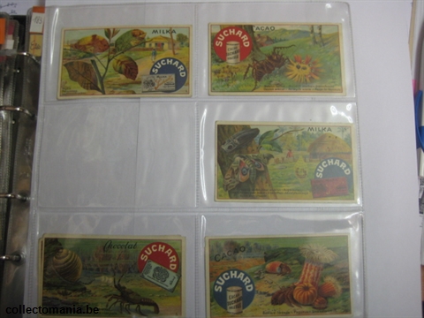 Chromo Trade Card SucI183 Nature series (12)