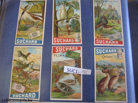 Chromo Trade Card SucI186 Colourfull birds, mamals and fish (12)