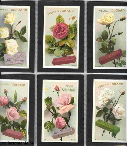 Chromo Trade Card SucI187 Roses (12)