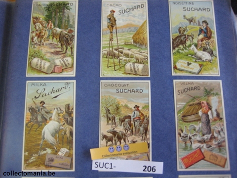 Chromo Trade Card SucI206 Sheppards and their flocks (12)