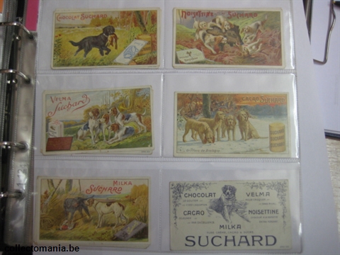 Chromo Trade Card SucI225 hunting dogs (12)