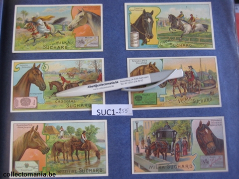 Chromo Trade Card SucI255 Breeds of horses (12)
