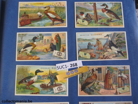 Chromo Trade Card SucI268 Ducks (12)