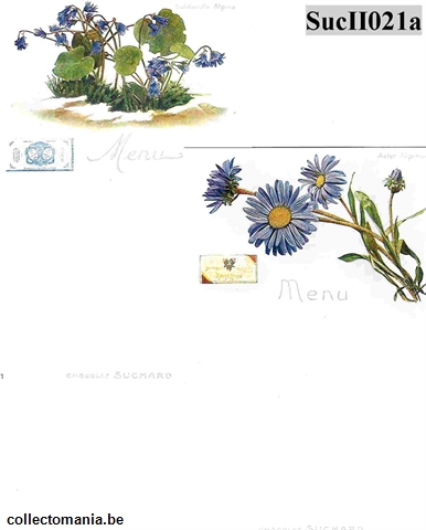 Chromo Trade Card SucII021a Alpine Flowers (12)