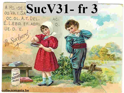 Chromo Trade Card SucV31 Puzzle inscriptions, French and German (x12)